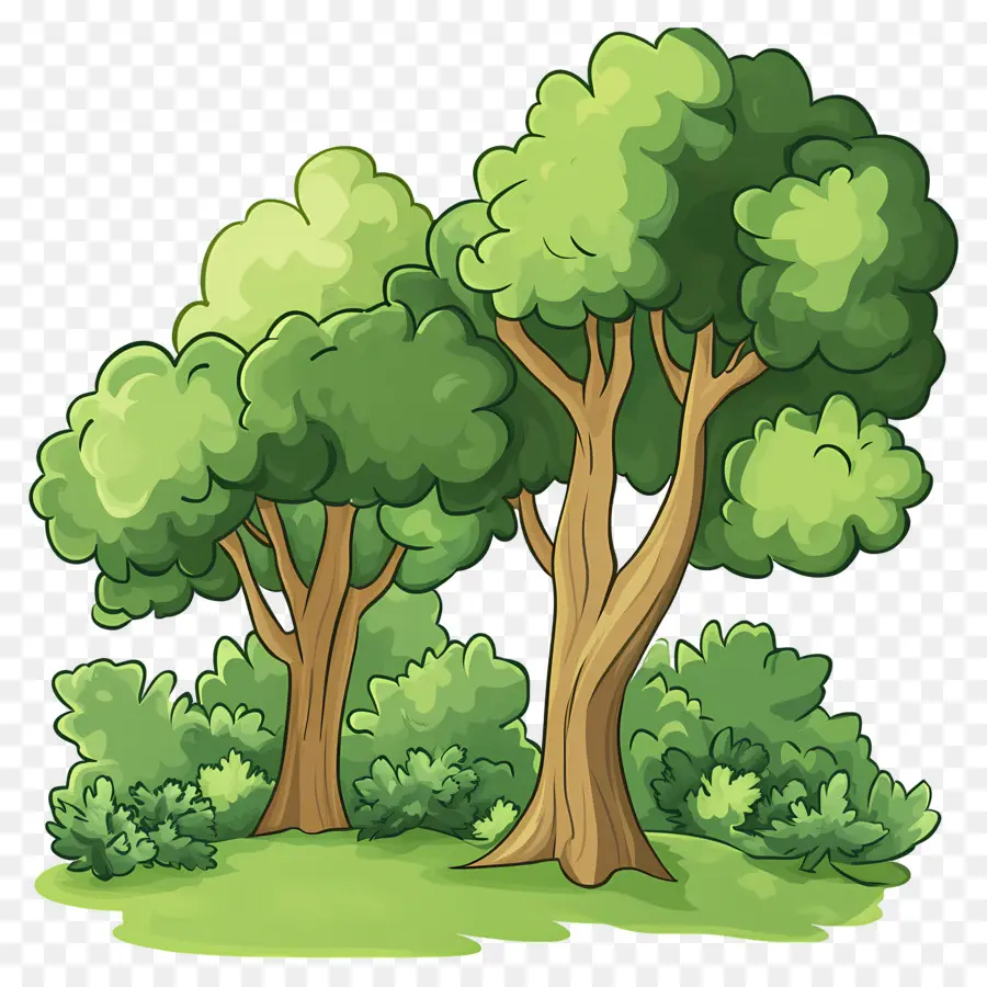 Arbres Denses，Arbres PNG