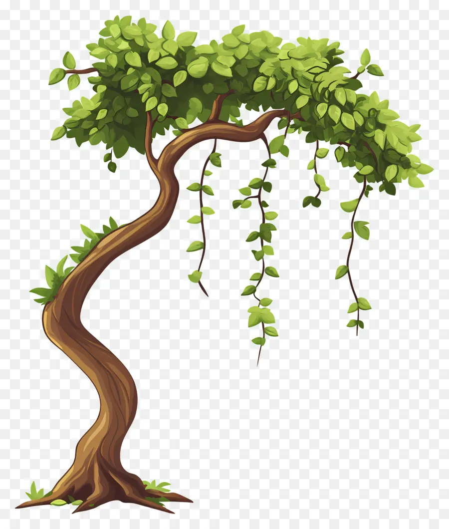 Arbre Dense，Arbre PNG