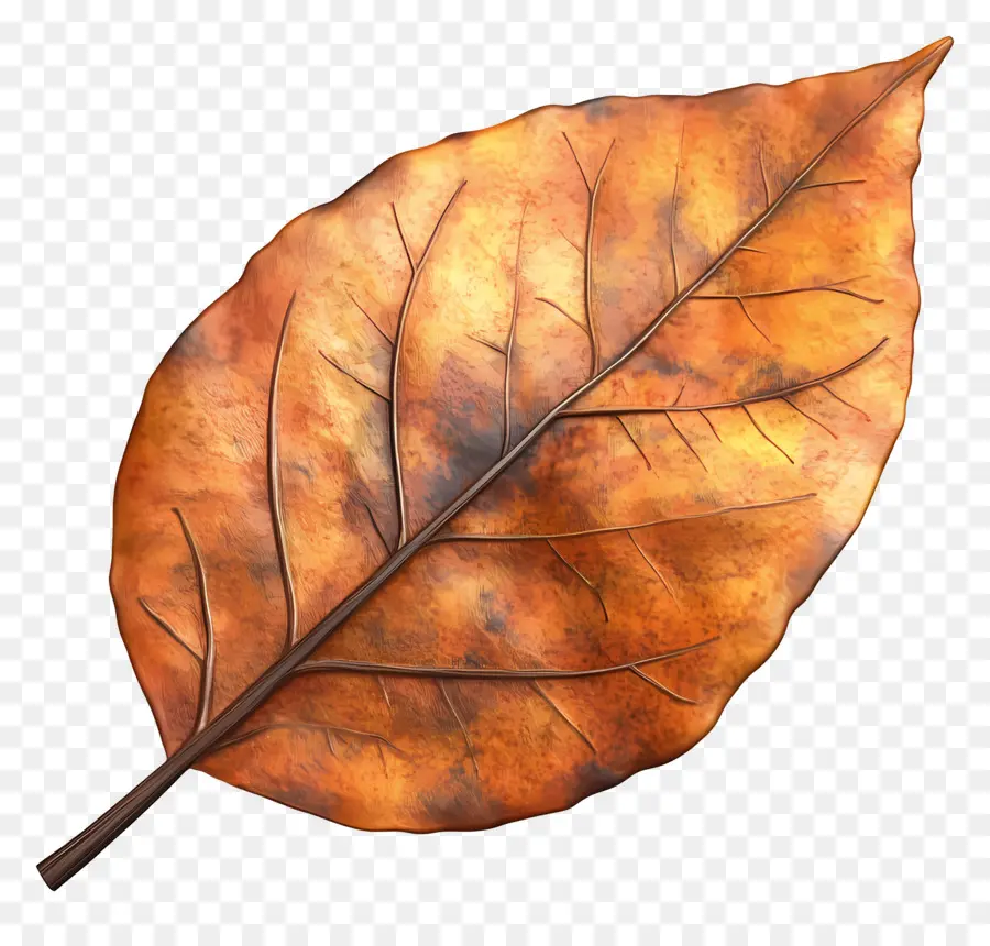 Feuille D'automne，Feuille Brune PNG