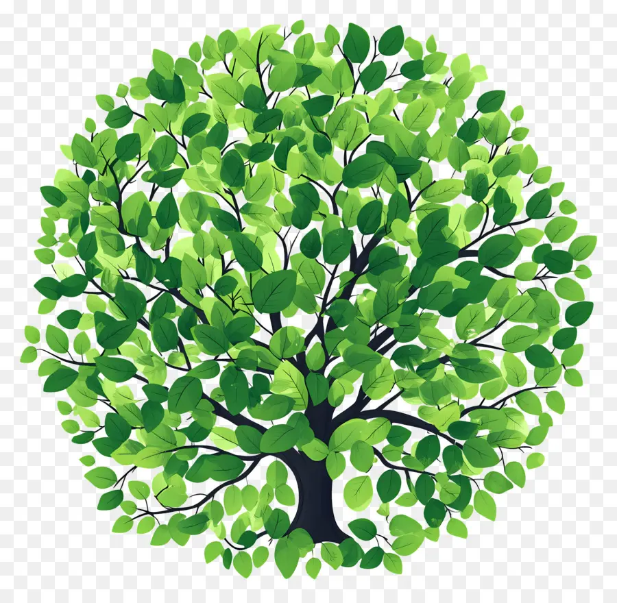 Plan D'arbre Vert，Arbre Vert PNG