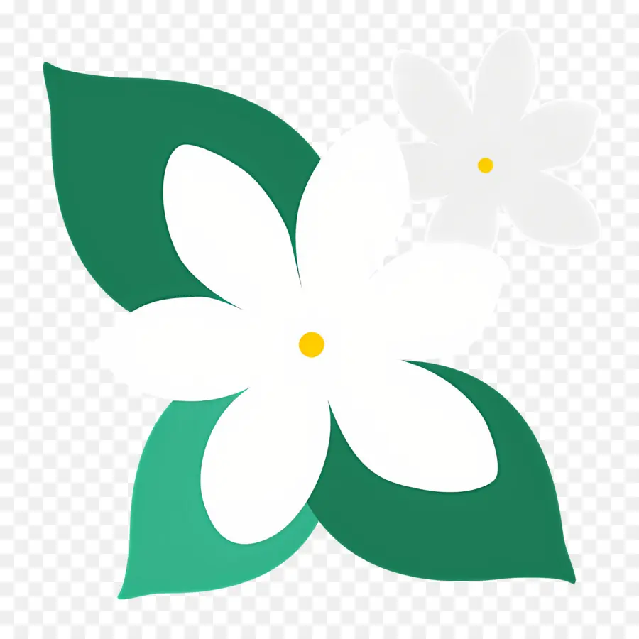 Fleur Sauvage，Fleurs Blanches PNG