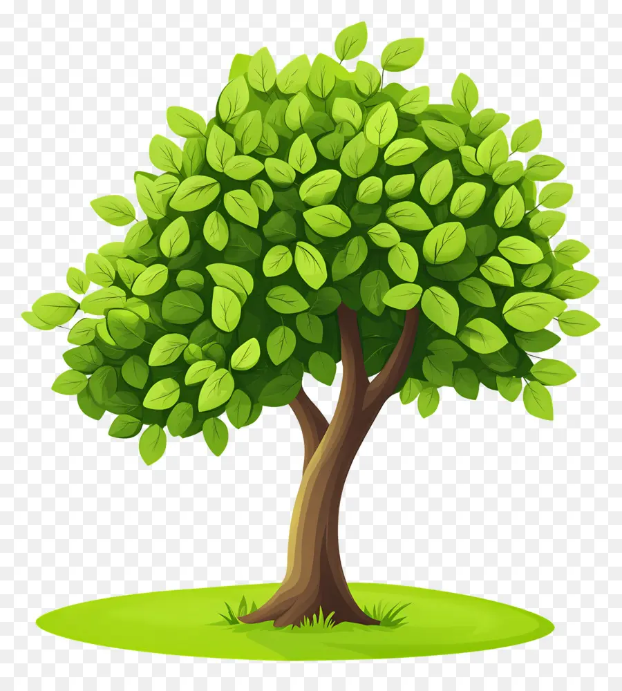 Arbre Dense，Arbre PNG