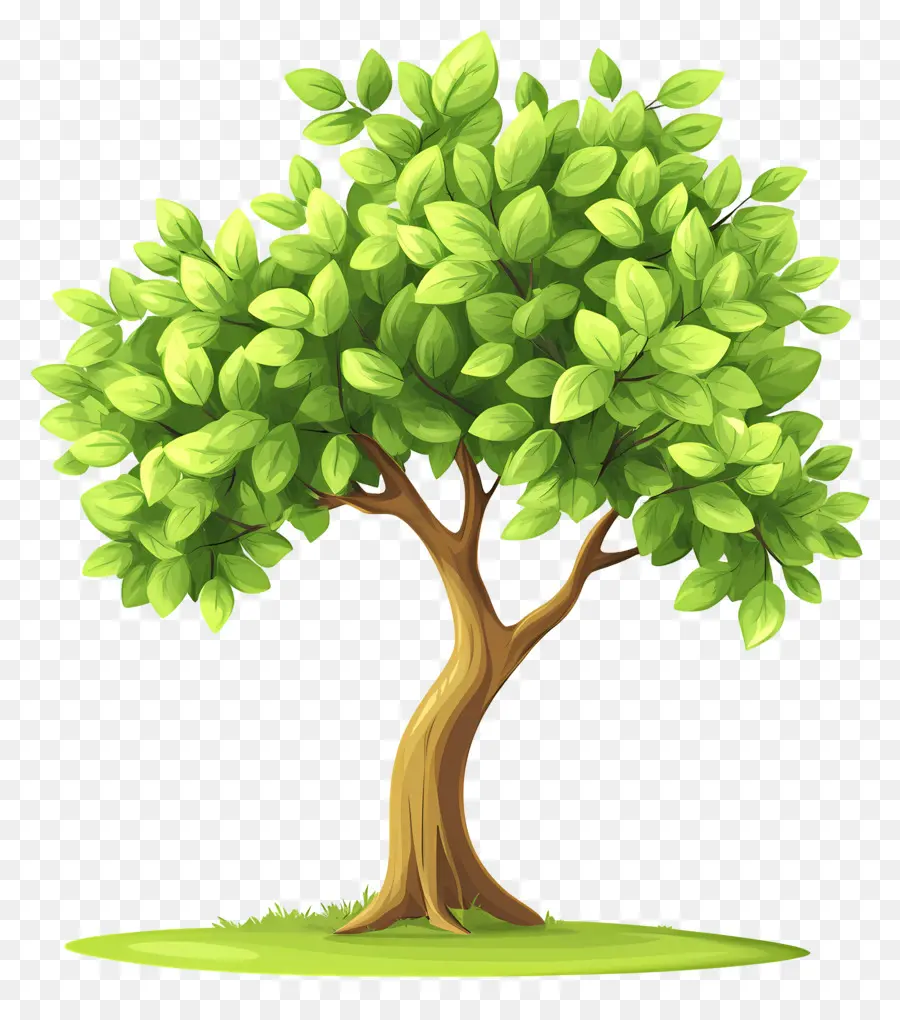 Arbre Dense，Arbre PNG