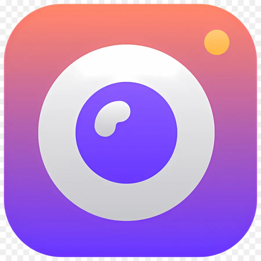 Instagram，Icône De Caméra PNG