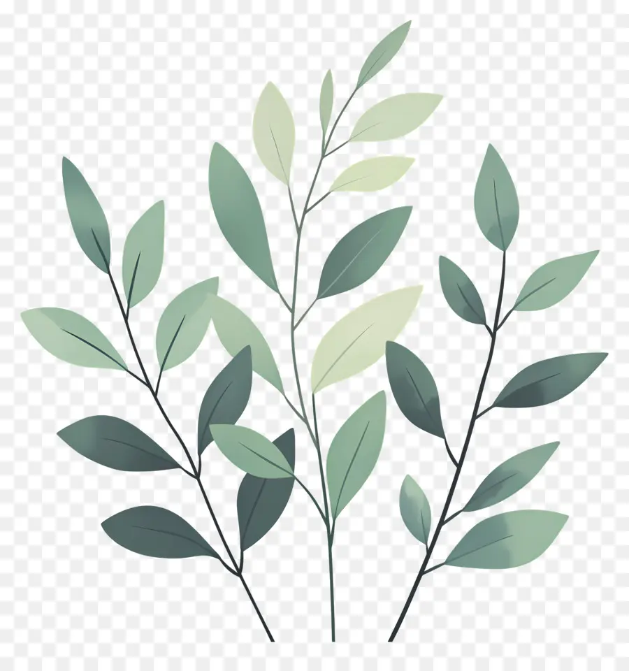 Plante Verte，Usine PNG