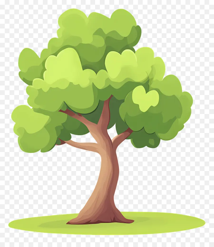 Arbre Dense，Arbre PNG