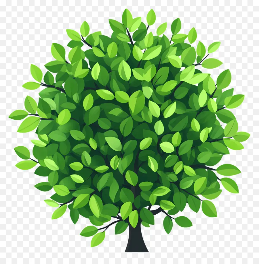 Plan D'arbre Vert，Arbre PNG