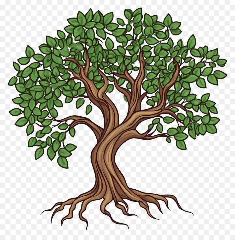 Arbre Avec Des Racines，Arbre Détaillé PNG