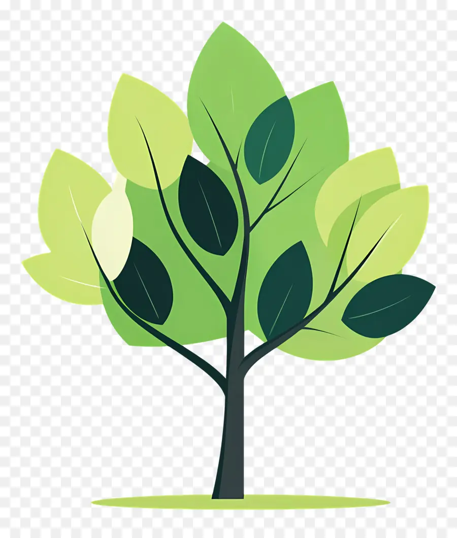 Arbre Simple，Arbres Simples PNG