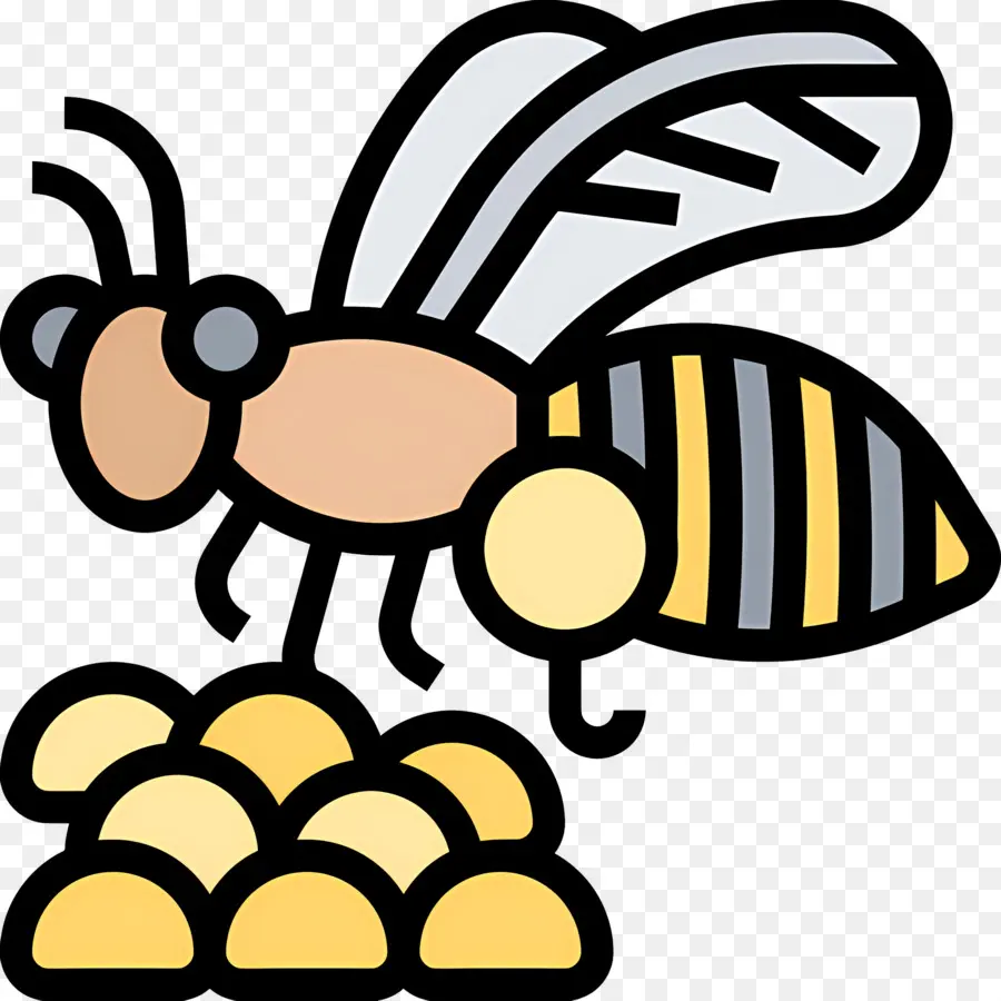 Abeille，Miel PNG