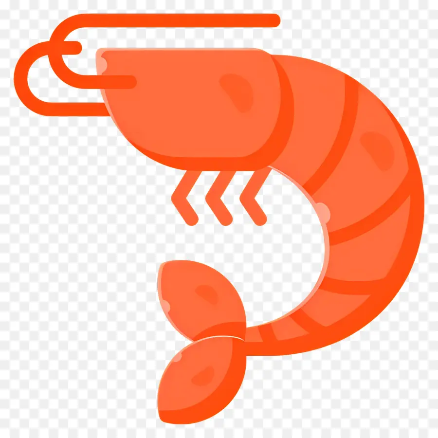 Crevette，Crevettes Roses PNG