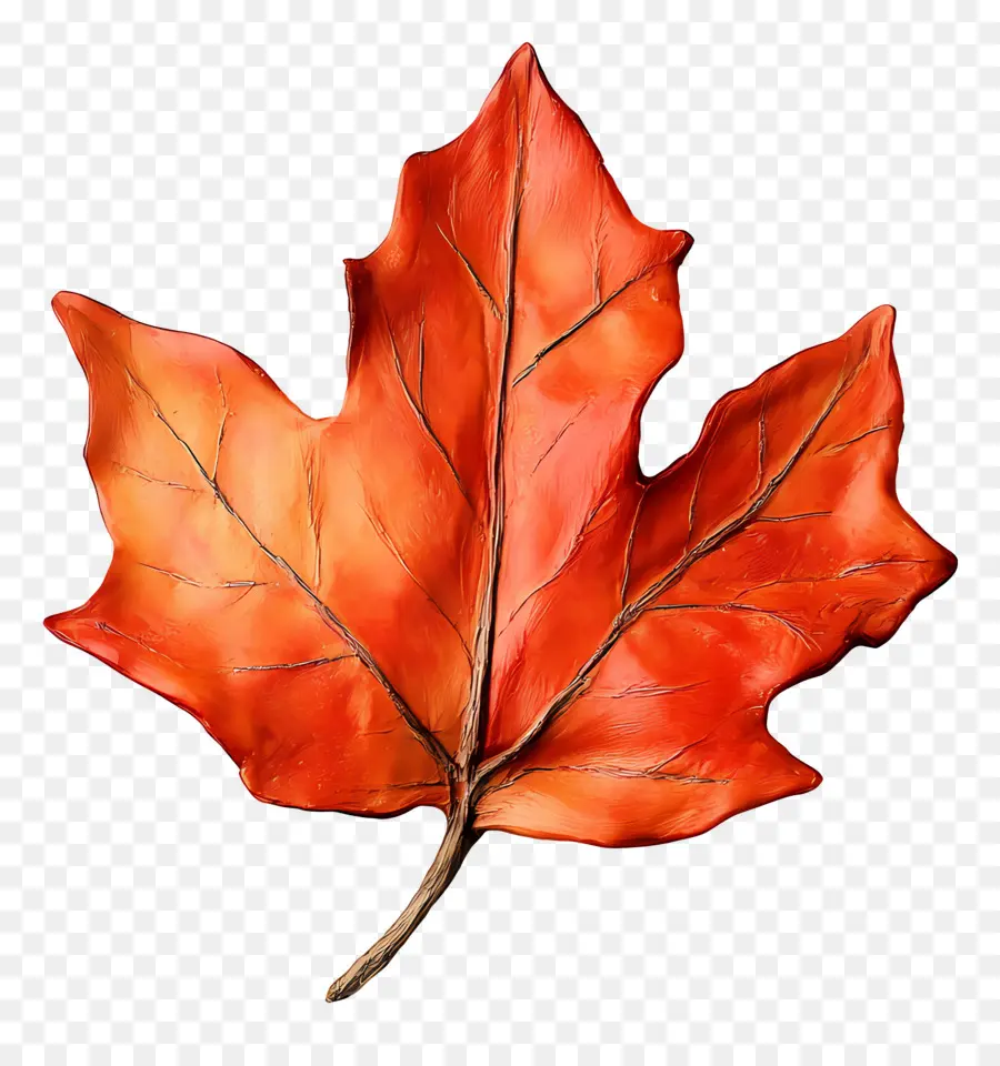 Feuille D'automne，Automne PNG