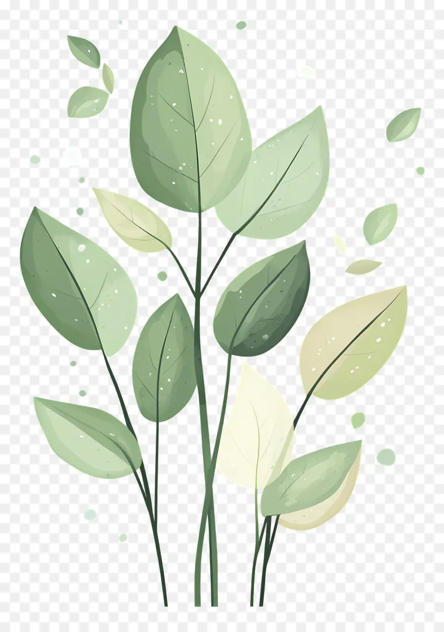 Plante Verte，Feuilles PNG