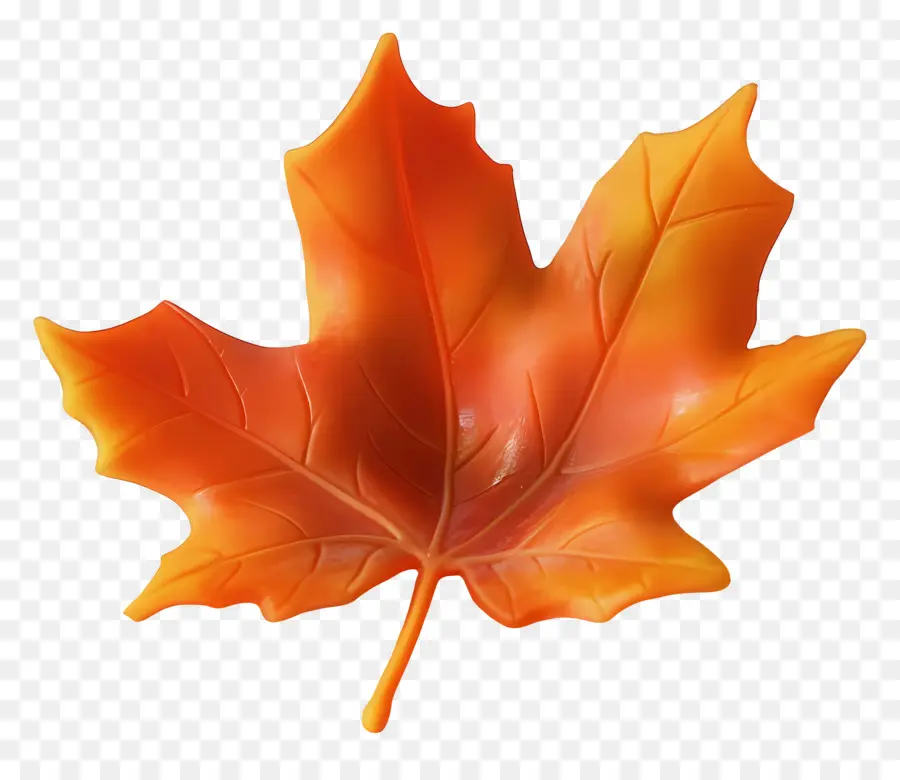 Feuille D'automne，Automne PNG