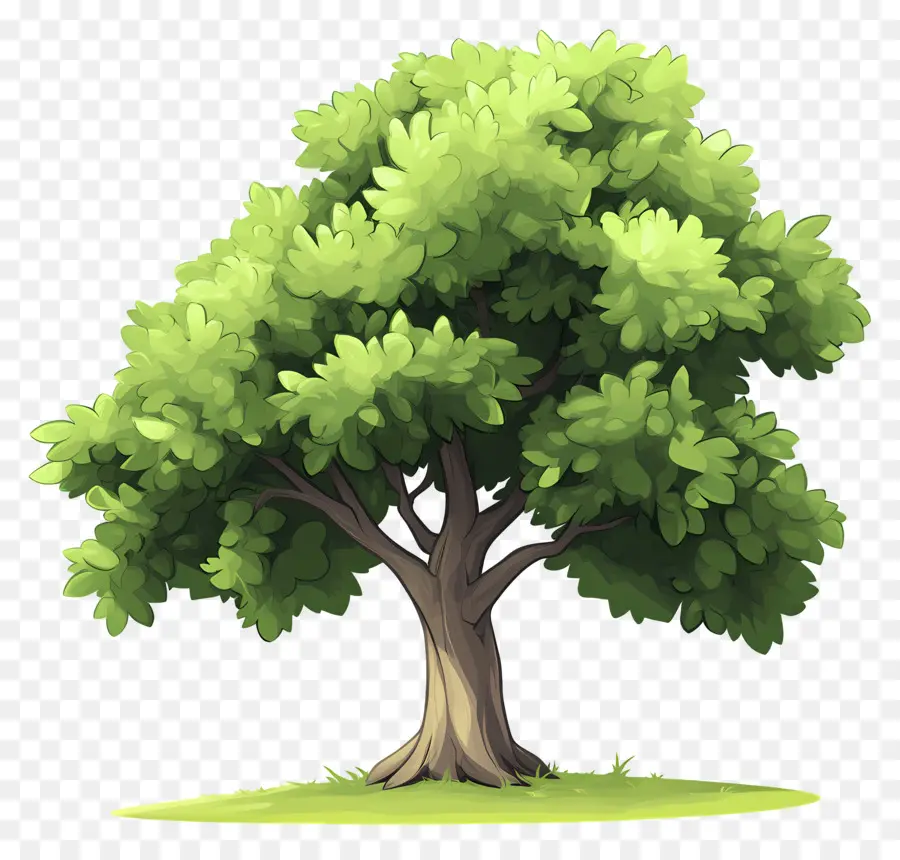 Arbre Dense，Arbre PNG