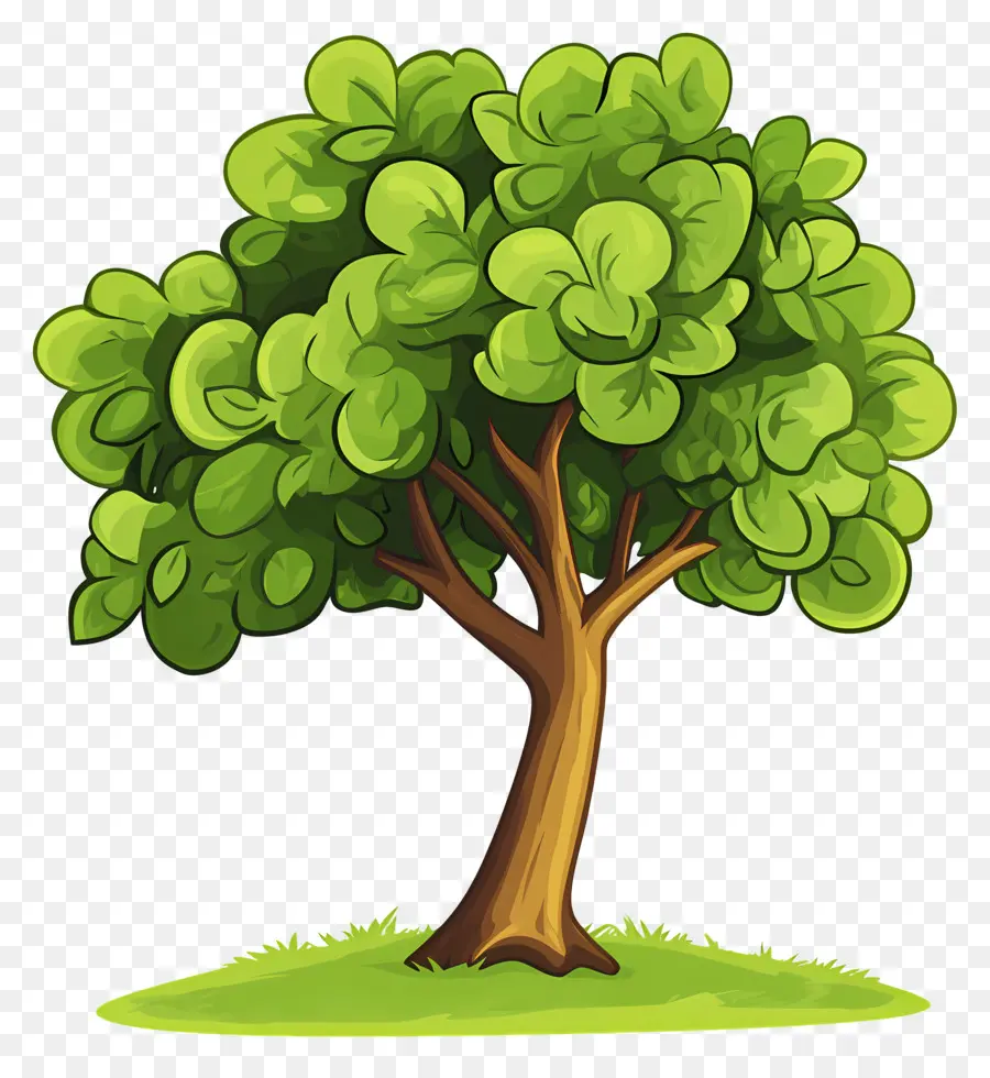 Arbre Dense，Arbre PNG