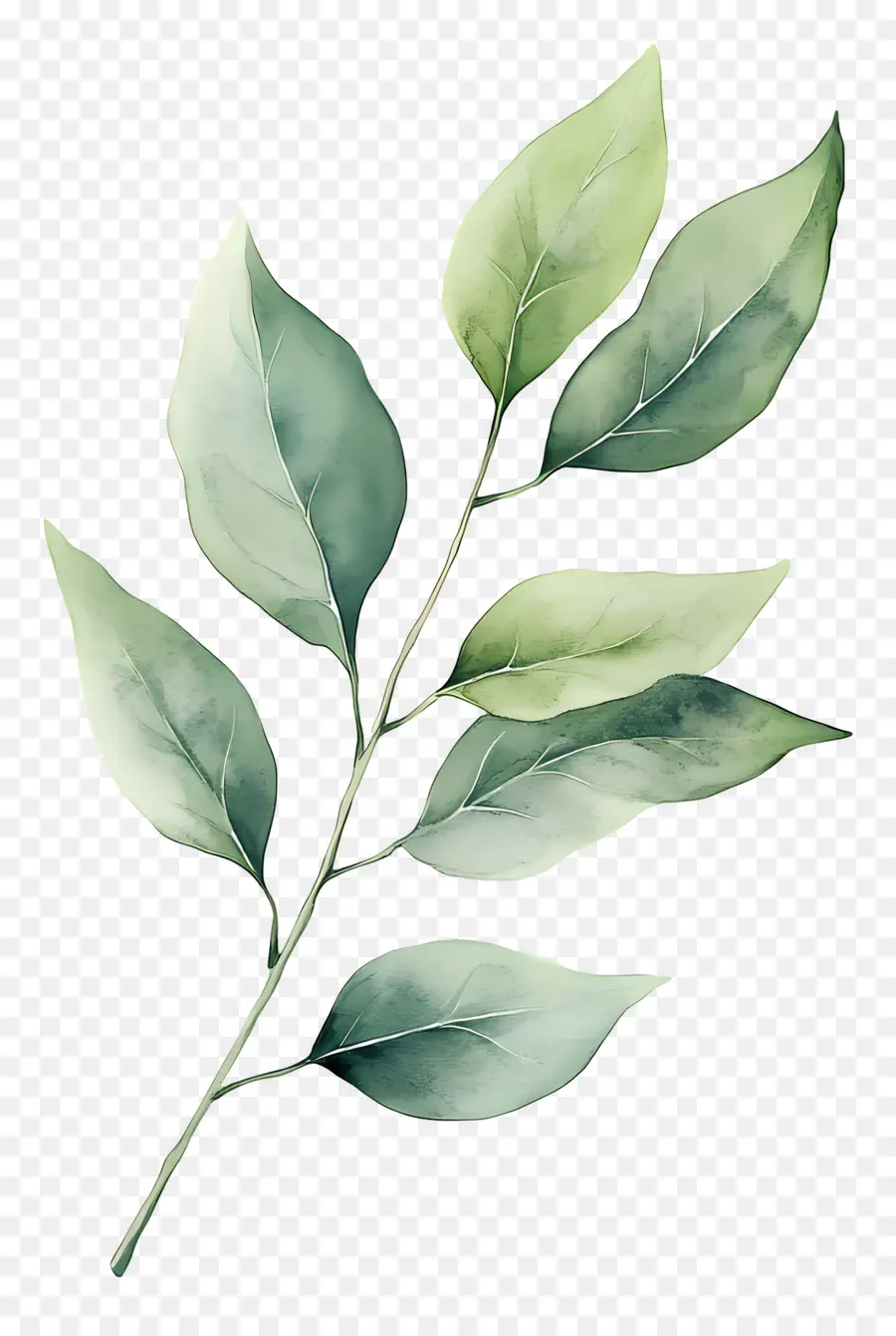 Peinture De Feuilles，Feuilles Vertes PNG