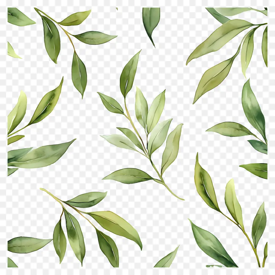 Peinture De Feuilles，Feuilles PNG