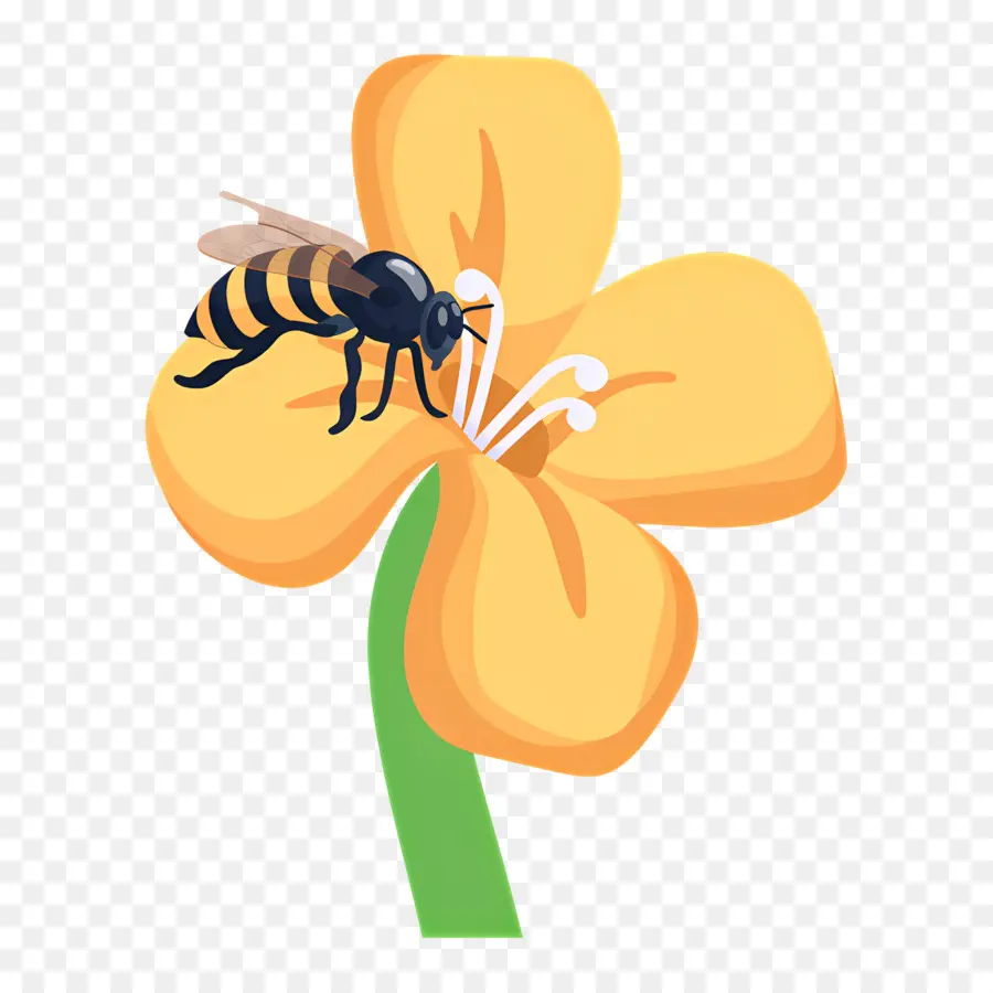 Abeille，Abeille Sur Fleur PNG