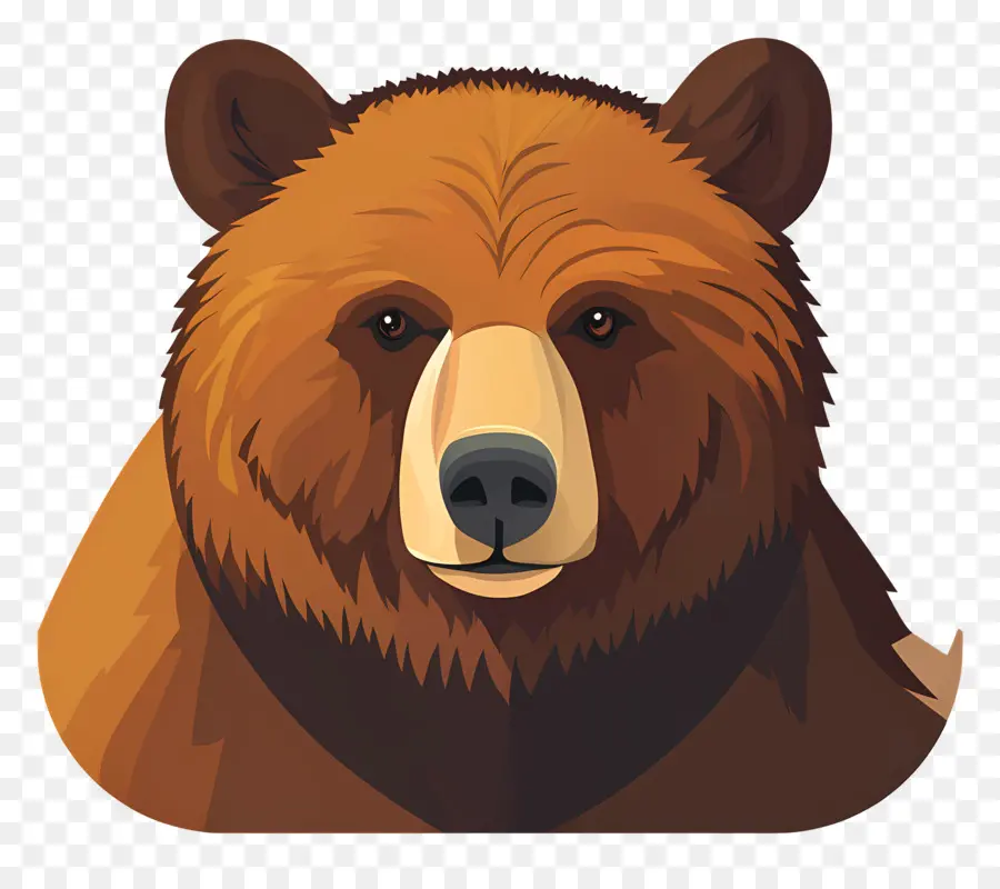 Grizzly，Ours En Colère PNG