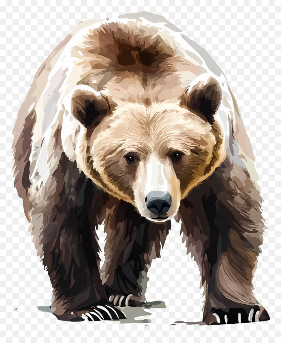 Grizzly，Ours PNG