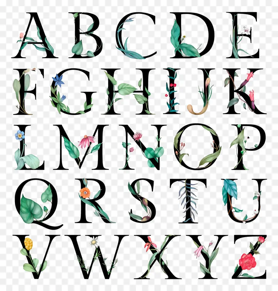 Lettre Alphabétique，Lettres De L'alphabet Avec Motif Floral PNG