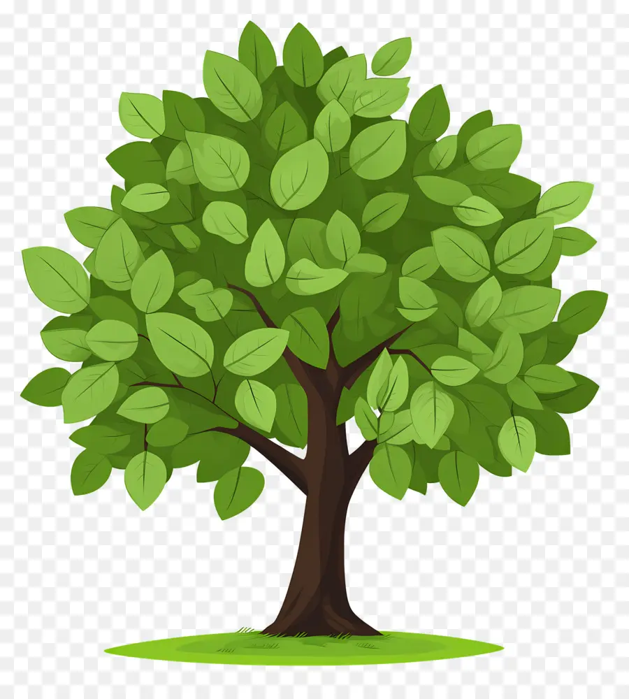 Arbre Dense，Arbre PNG