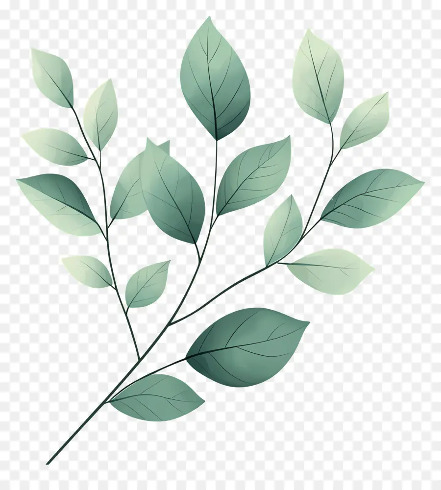 Plante Verte，Branche Verte PNG