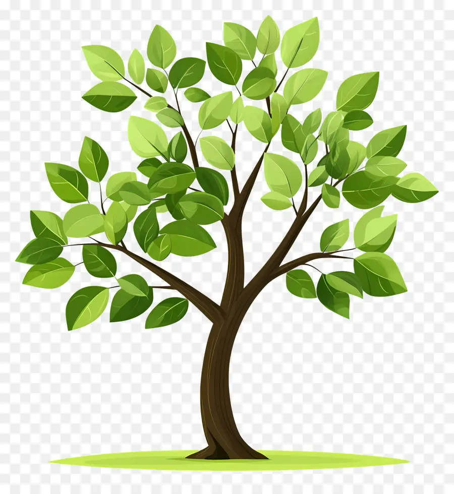 Arbre Dense，Arbres De Dessin Animé PNG