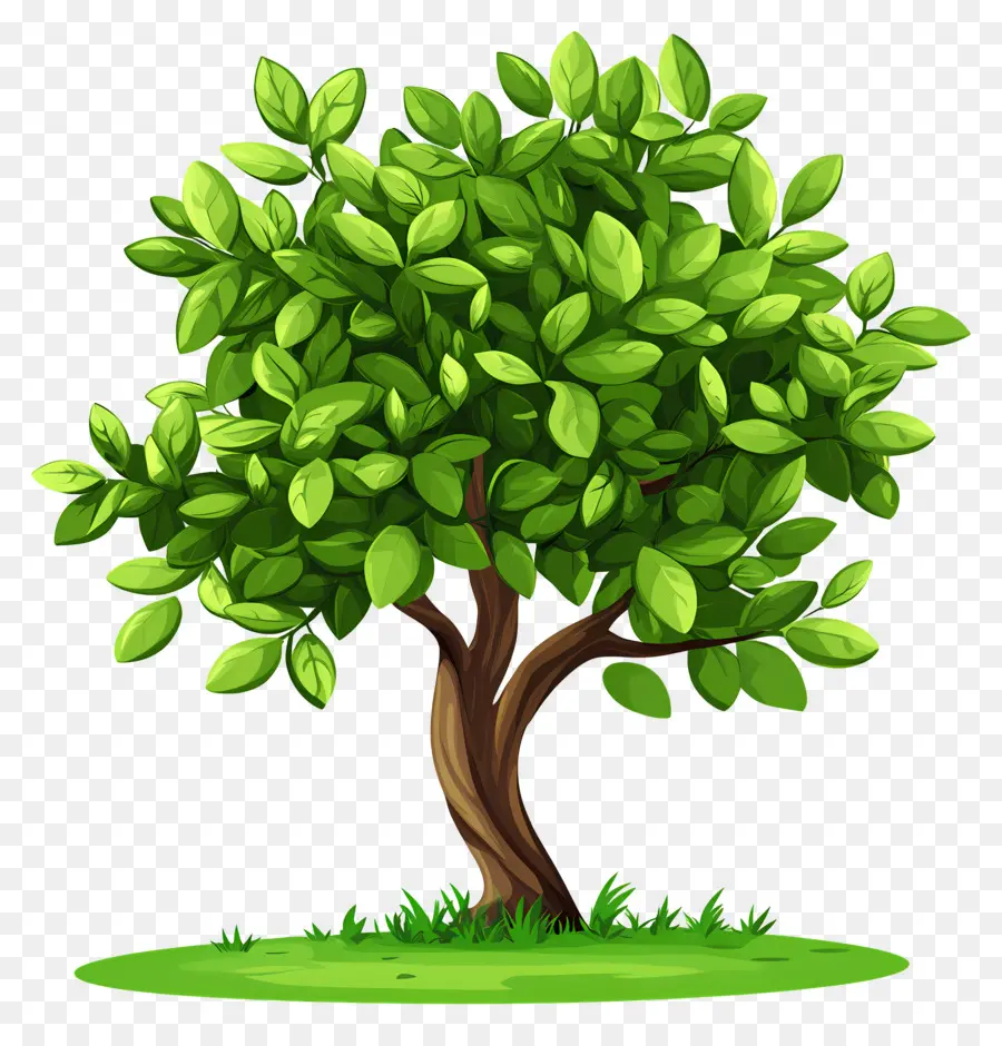 Arbre Dense，Arbres De Dessin Animé PNG