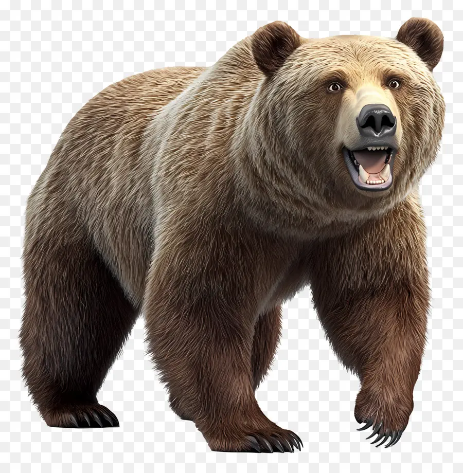 Grizzly，Ours Brun PNG