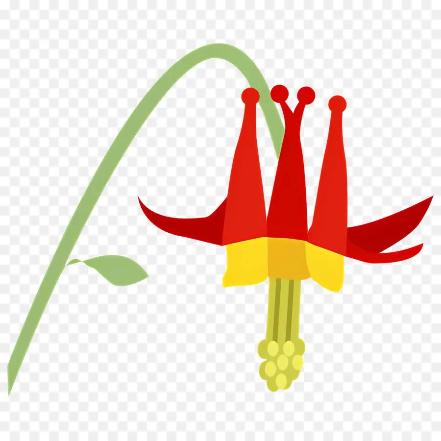 Fleur Sauvage，Fleur Rouge Et Jaune PNG