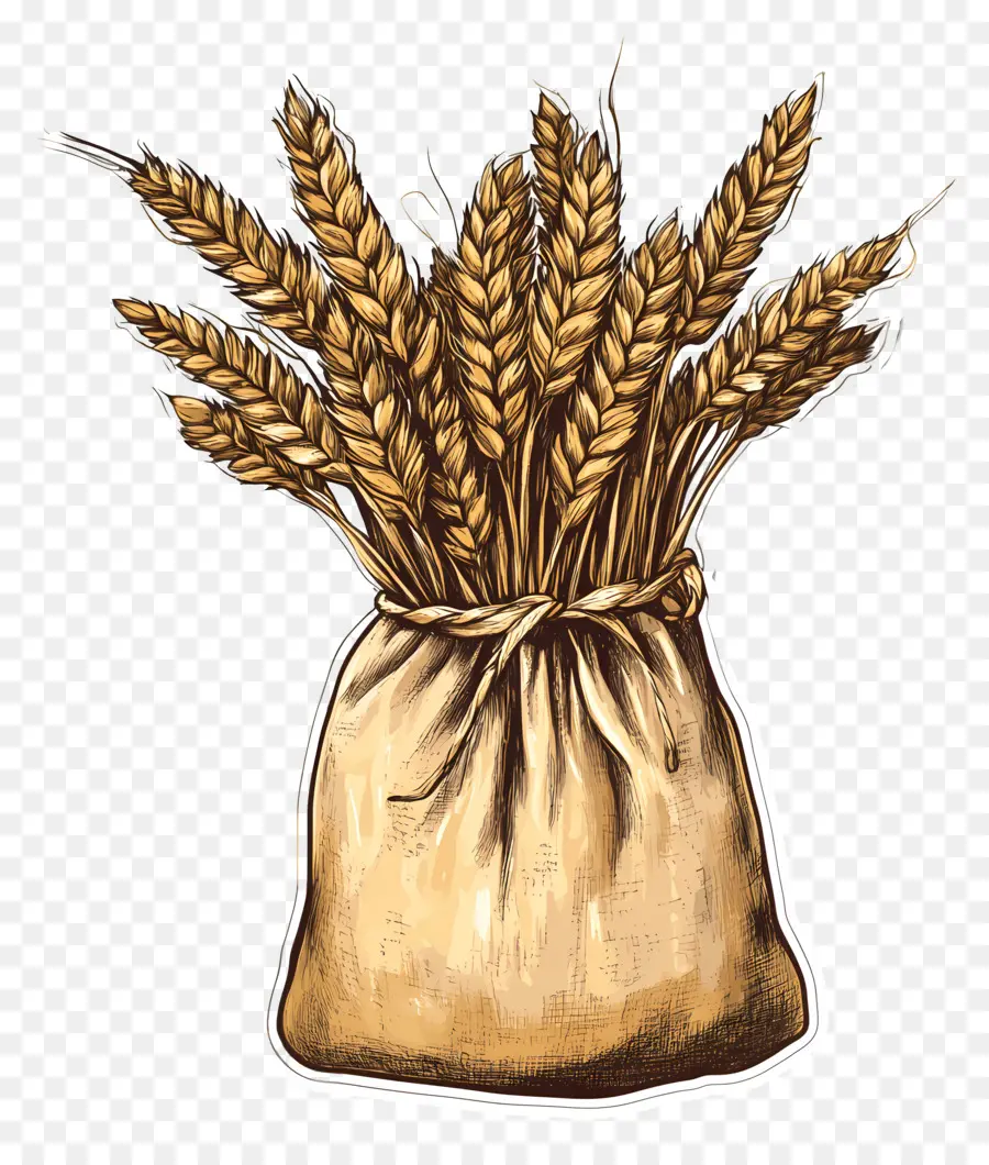 Blé，Grain PNG