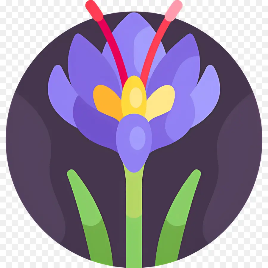 Safran，Fleur Violette PNG