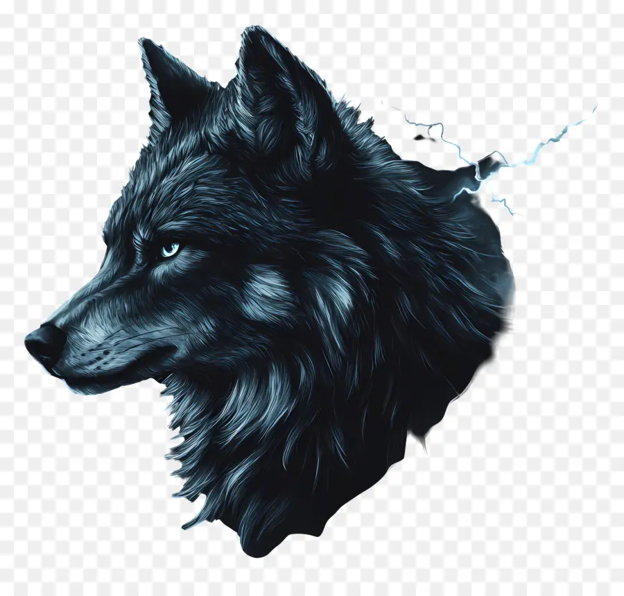 Loup Fantastique，Loup PNG