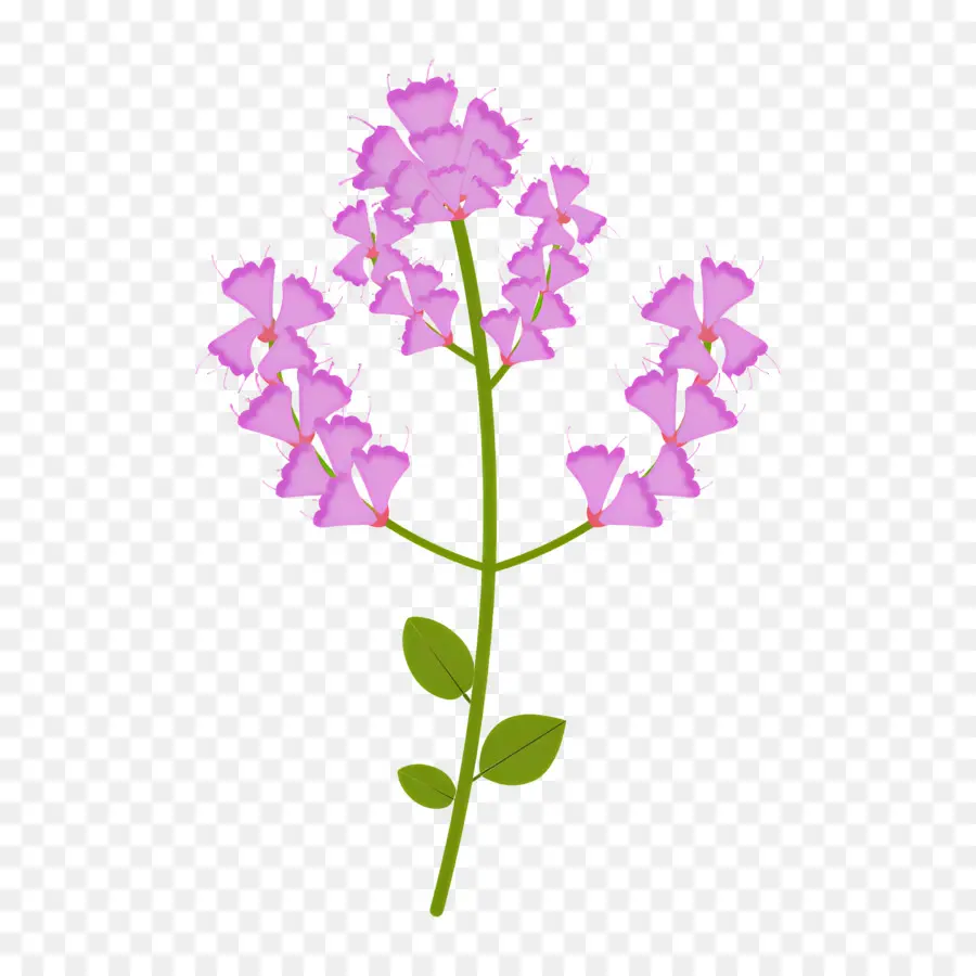 Fleur Sauvage，Fleur Violette PNG