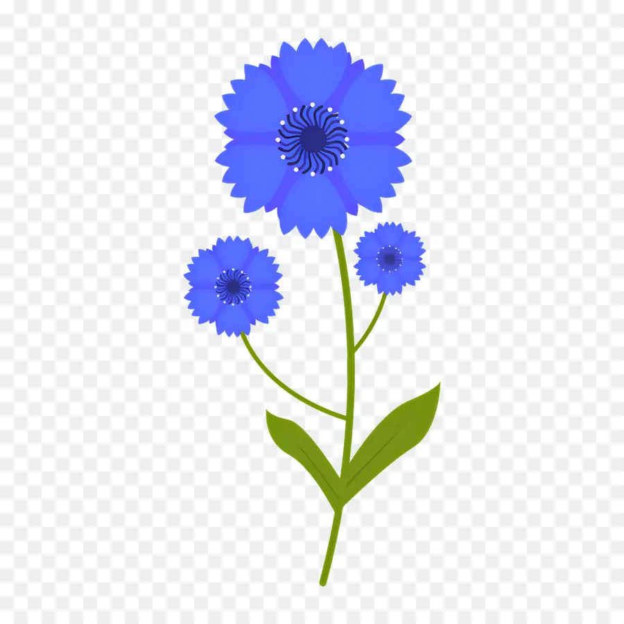 Fleur Sauvage，Fleurs Bleues PNG