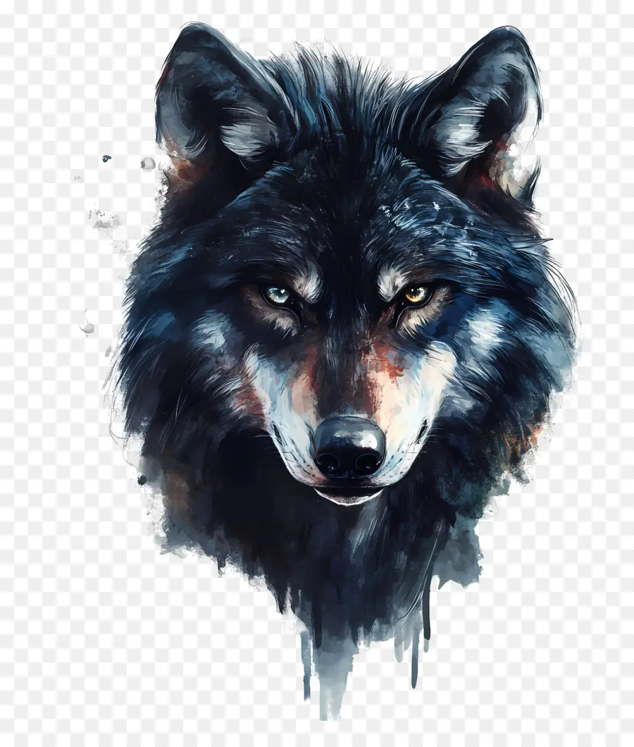 Loup Cool，Loup PNG