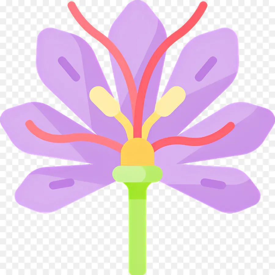 Safran，Fleur Violette PNG