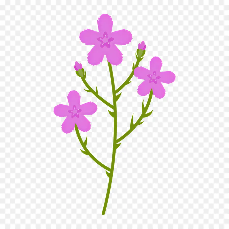 Fleur Sauvage，Fleurs Roses PNG