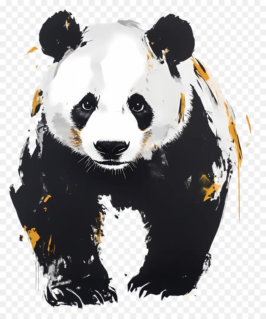 Ours Panda，Panda PNG