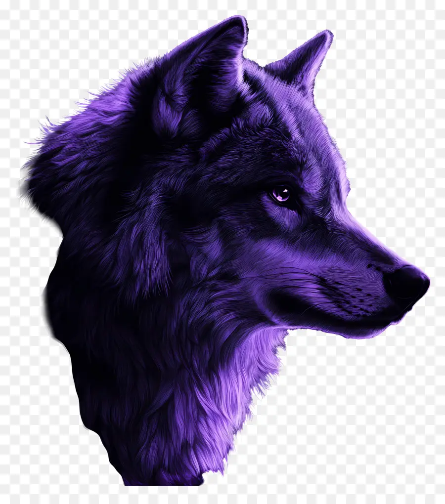 Loup Fantastique，Loup PNG