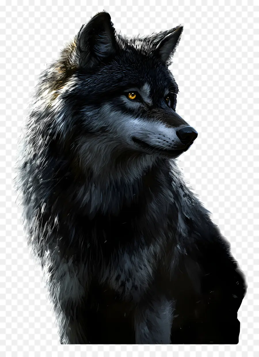 Loup Fantastique，Loup PNG