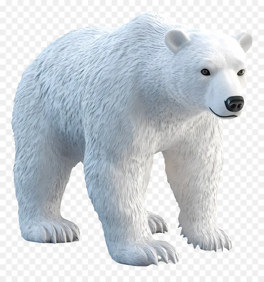 Ours De Glace，Ours Blanc PNG