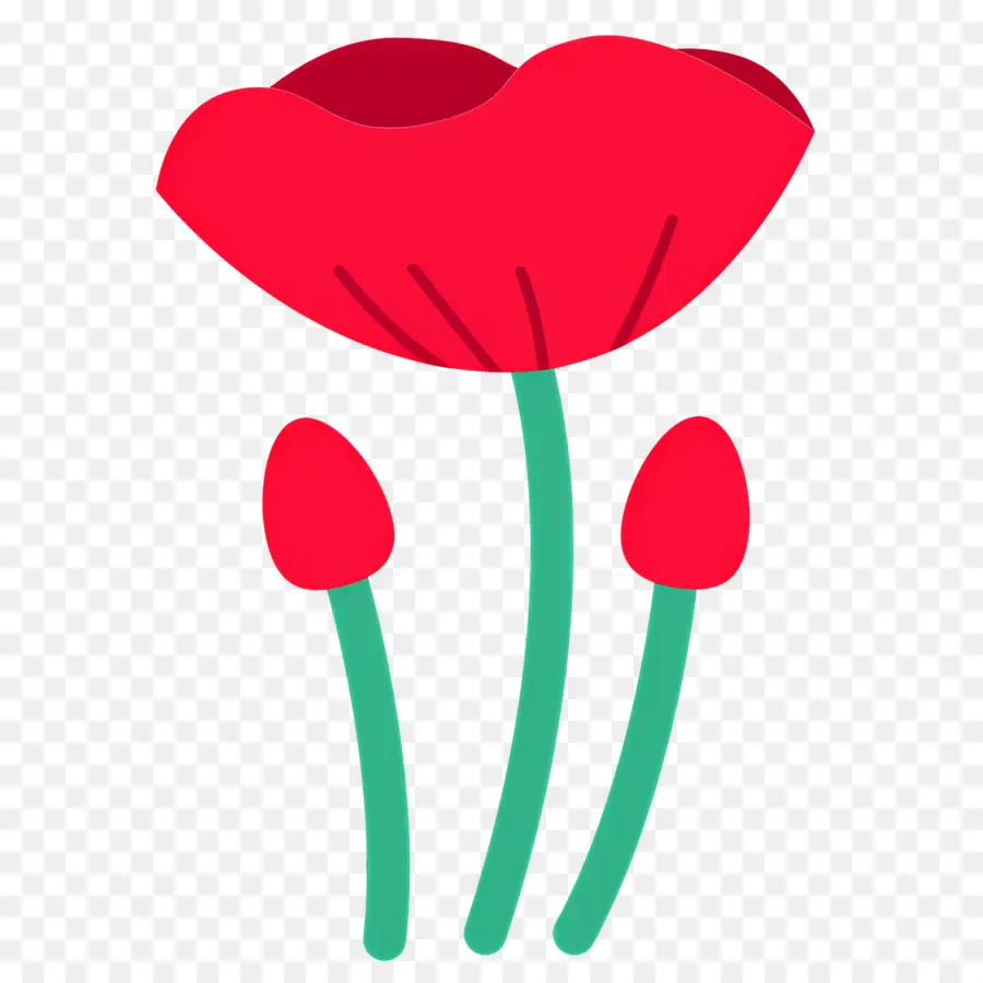 Fleur Sauvage，Fleur Rouge PNG