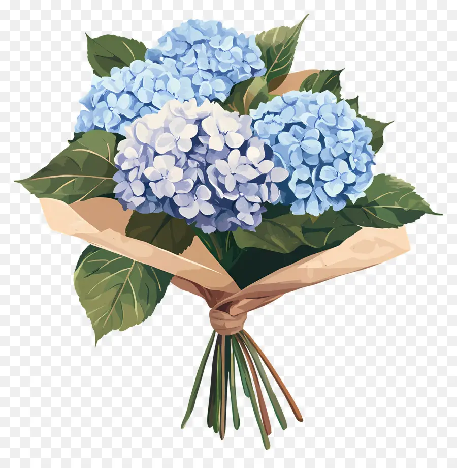 Bouquet D'hortensias，Bouquet PNG