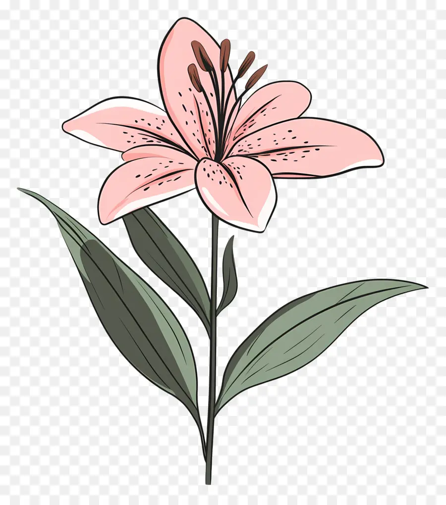 Fleur De Lys Rose，Fleur Rose PNG