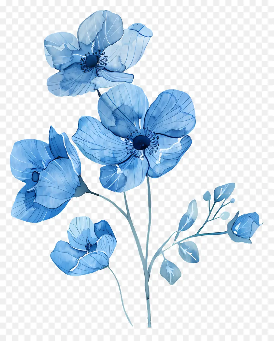 Fleurs Bleues Aquarelles，Fleurs Bleues PNG