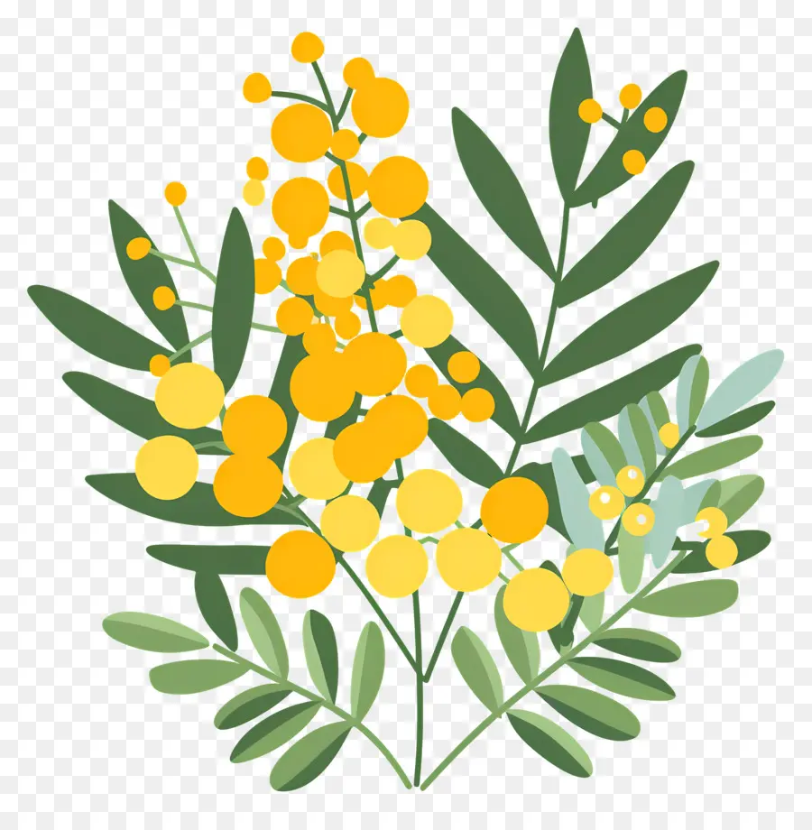 Fleurs De Mimosa，Fleurs Jaunes PNG