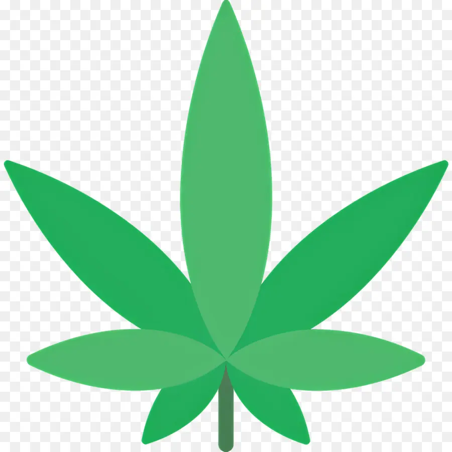 Feuille De Cannabis，Feuille PNG